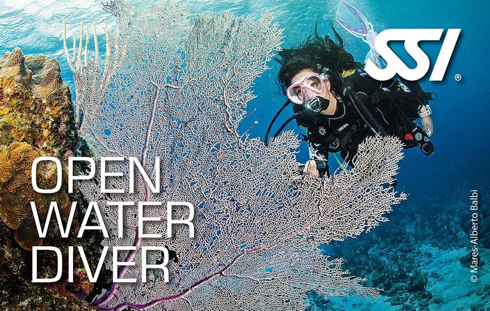 Formation Open Water Diver