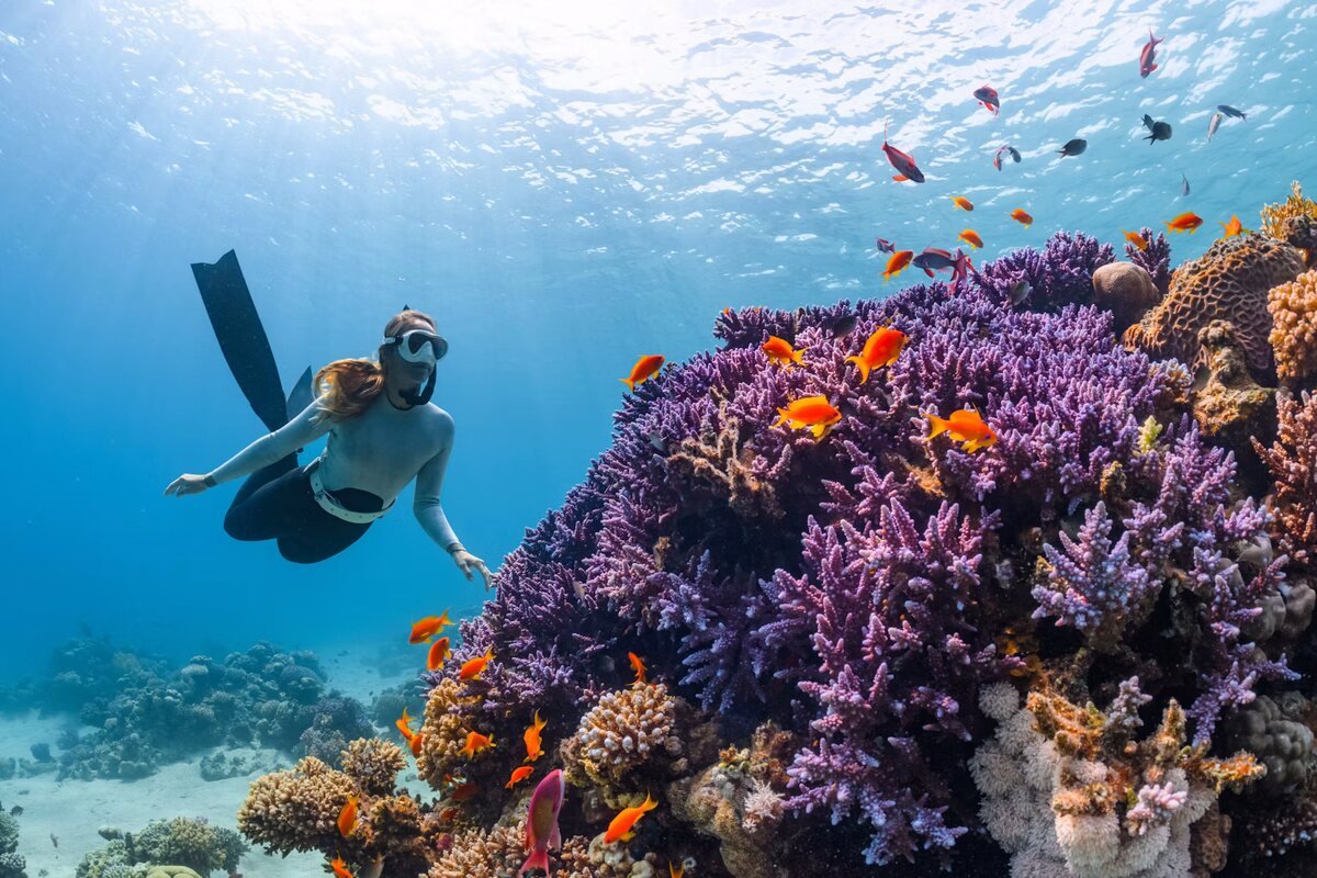 Snorkeling White Island